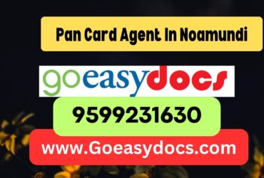 h1>Pan Card Agent Consultant in Noamundi 8851415812