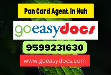 Pan Card Agent Consultant in Nuh 8851415812