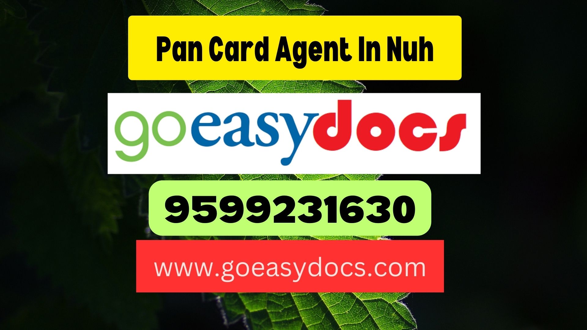 Pan Card Agent Consultant in Nuh 8851415812