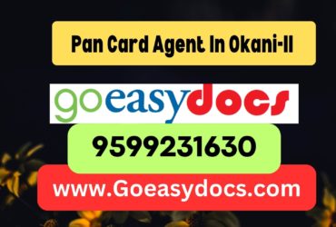 Pan Card Agent Consultant in Okani-II (Okni) 8851415812