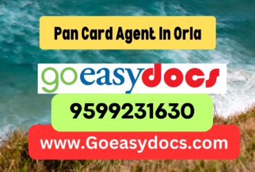 Pan Card Agent Consultant in Orla 8851415812