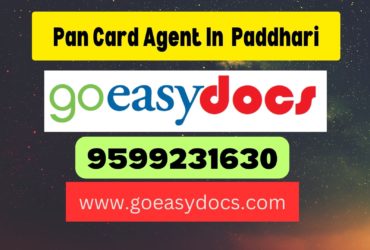 Pan Card Agent Consultant in Paddhari 8851415812