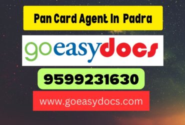 Pan Card Agent Consultant in Padra 8851415812