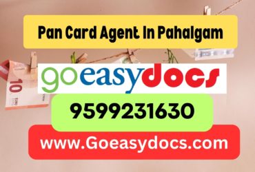 Pan Card Agent Consultant in Pahalgam 8851415812