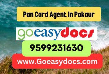 Pan Card Agent Consultant in Pakaur  8851415812