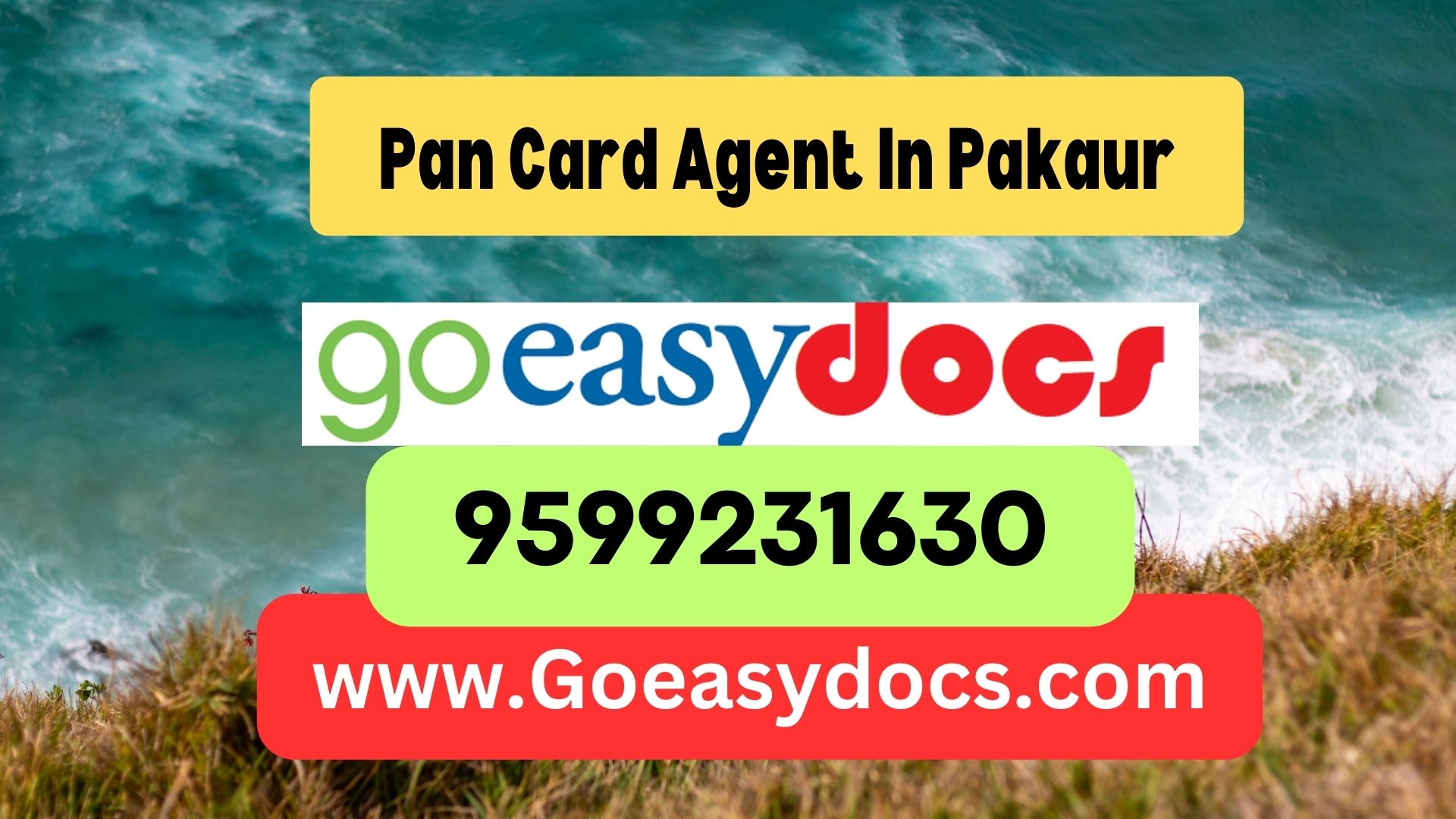 Pan Card Agent Consultant in Pakaur  8851415812