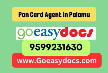 Pan Card Agent Consultant in Palamu 8851415812