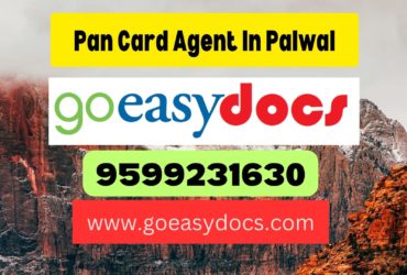 Pan Card Agent Consultant in Palwal 8851415812