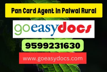 Pan Card Agent Consultant in Palwal Rural 8851415812