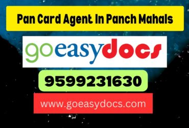 Pan Card Agent Consultant in Panch Mahals  8851415812