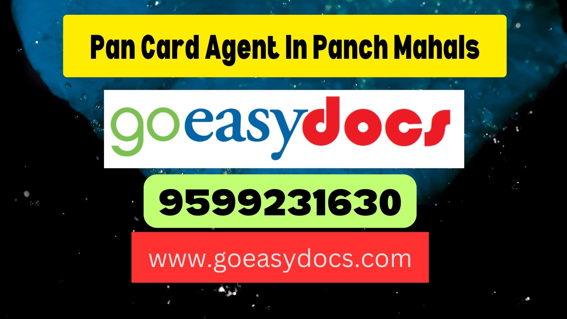 Pan Card Agent Consultant in Panch Mahals  8851415812