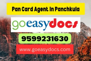 Pan Card Agent Consultant in Panchkula (Urban Estate) 8851415812