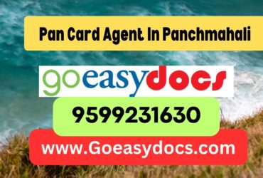 Pan Card Agent Consultant in Panchmahali 8851415812