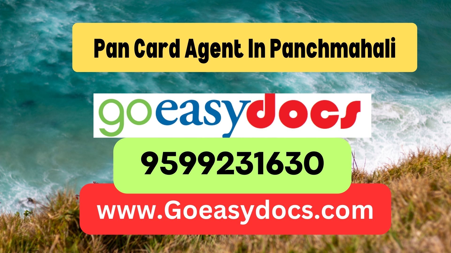 Pan Card Agent Consultant in Panchmahali 8851415812
