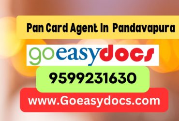 Pan Card Agent Consultant in Pandavapura 8851415812