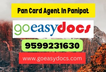 Pan Card Agent Consultant in Panipat  8851415812