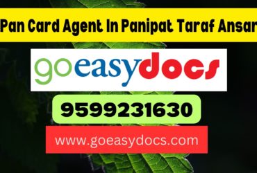 Pan Card Agent Consultant in Panipat Taraf Ansar 8851415812