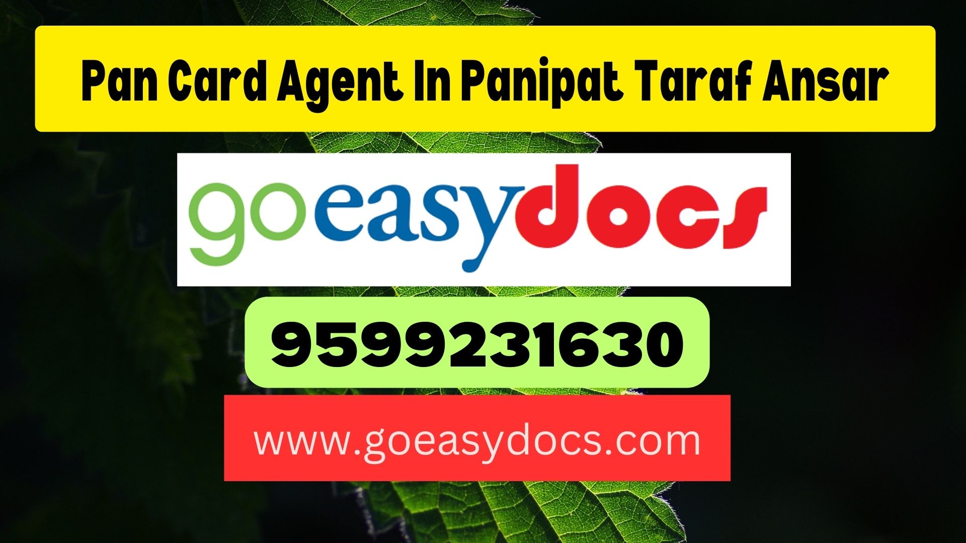 Pan Card Agent Consultant in Panipat Taraf Ansar 8851415812