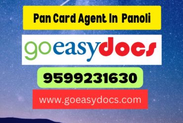 Pan Card Agent Consultant in Panoli 8851415812