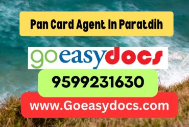 Pan Card Agent Consultant in Paratdih 8851415812