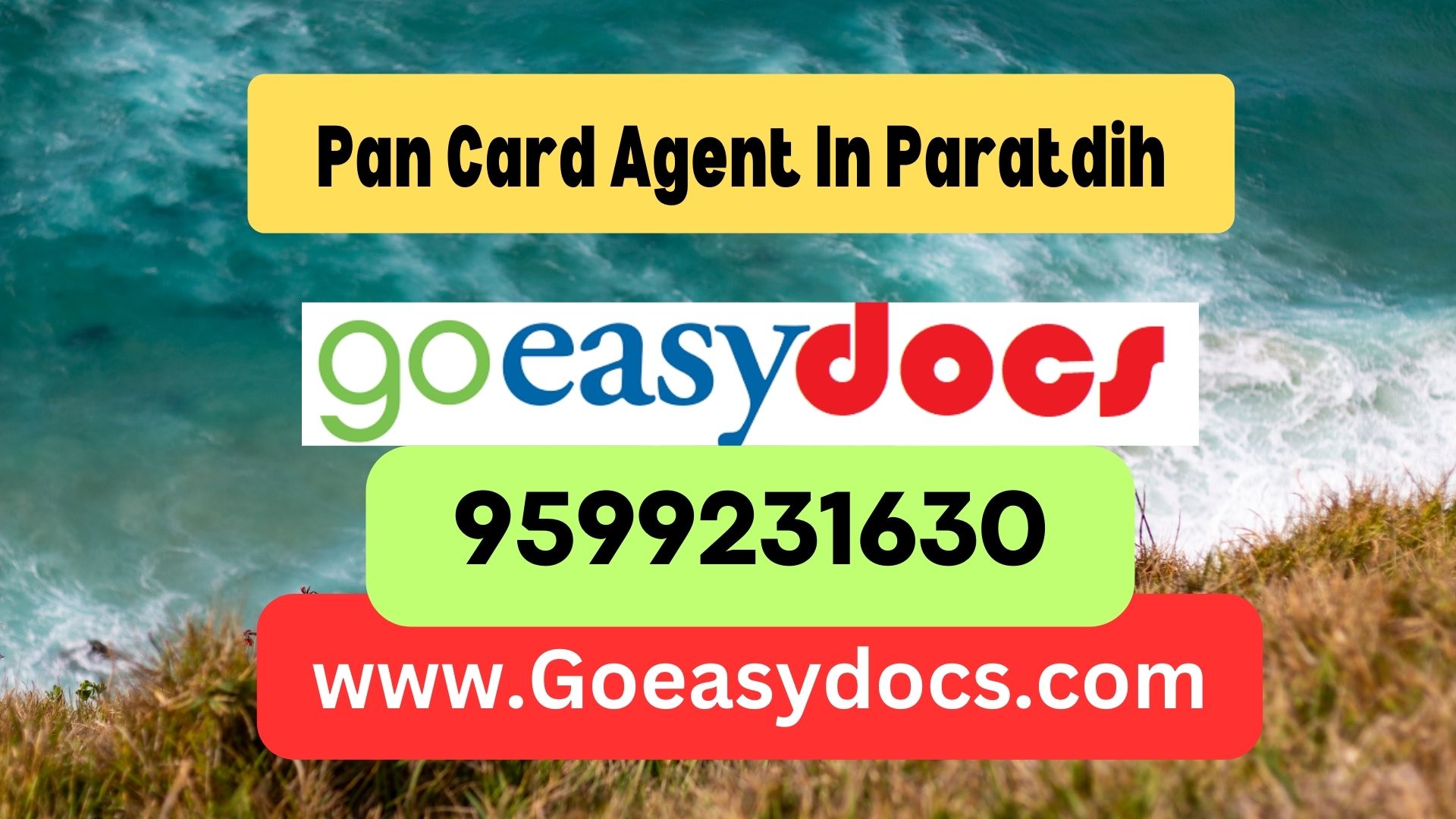 Pan Card Agent Consultant in Paratdih 8851415812