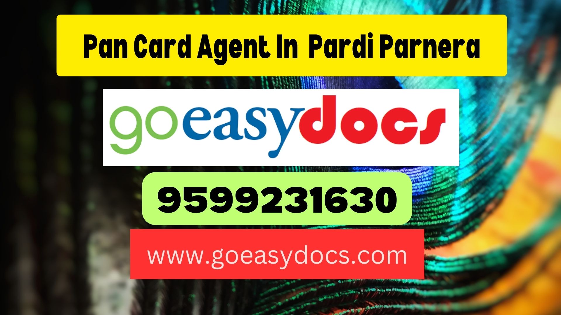 Pan Card Agent Consultant in Pardi Parnera 8851415812