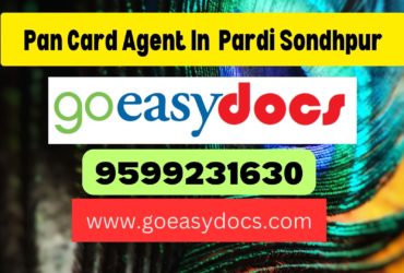 Pan Card Agent Consultant in Pardi Sondhpur 8851415812