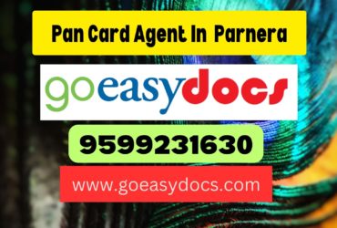 Pan Card Agent Consultant in Parnera 8851415812