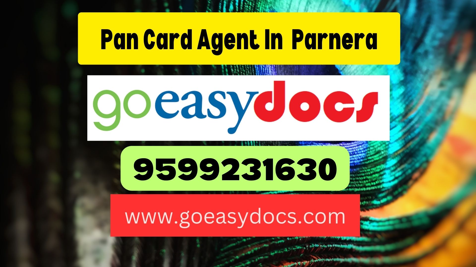 Pan Card Agent Consultant in Parnera 8851415812