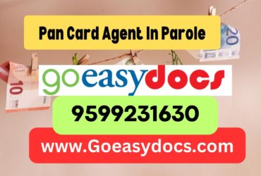 Pan Card Agent Consultant in Parole 8851415812