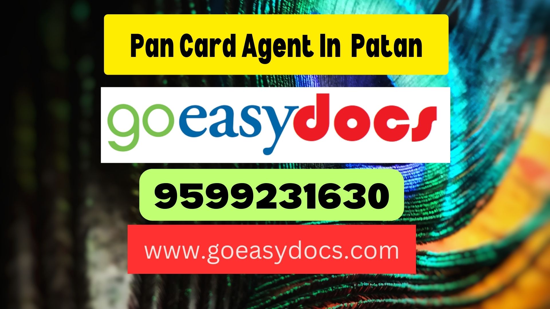 Pan Card Agent Consultant in Patan 8851415812