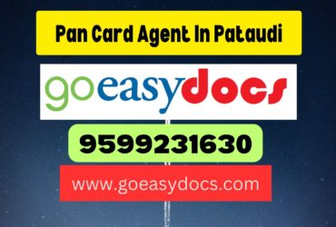 Pan Card Agent Consultant in Pataudi 8851415812