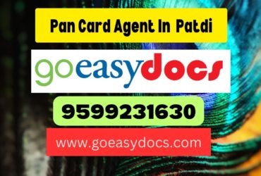 h1>Pan Card Agent Consultant in Patdi 8851415812