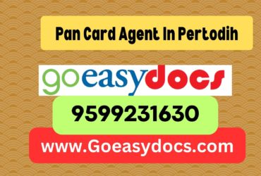 Pan Card Agent Consultant in Pertodih 8851415812