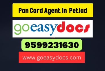 Pan Card Agent Consultant in Petlad 8851415812