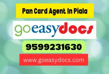 Pan Card Agent Consultant in Piala 8851415812