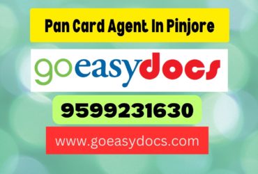 Pan Card Agent Consultant in Pinjore 8851415812