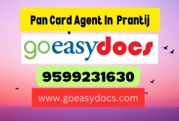 Pan Card Agent Consultant in Prantij 8851415812