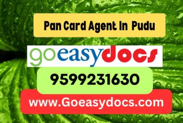 Pan Card Agent Consultant in Pudu 8851415812