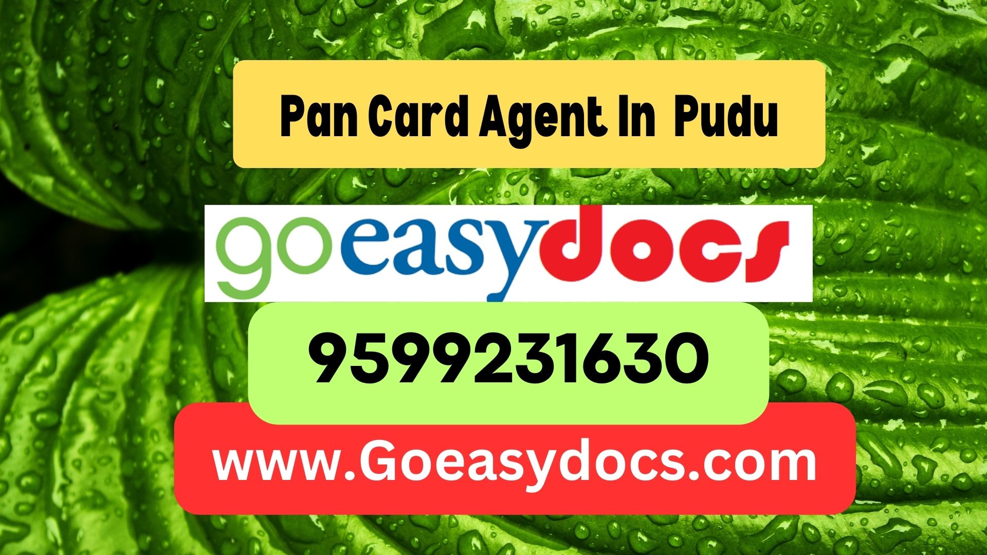 Pan Card Agent Consultant in Pudu 8851415812