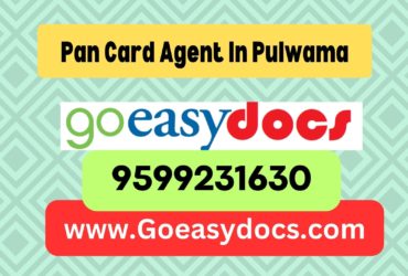 Pan Card Agent Consultant in Pulwama 8851415812