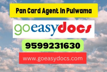 Pan Card Agent Consultant in Pulwama 8851415812