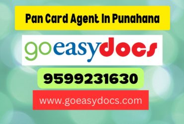 Pan Card Agent Consultant in Punahana 8851415812