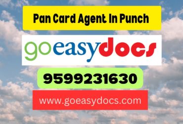 Pan Card Agent Consultant in Punch  8851415812