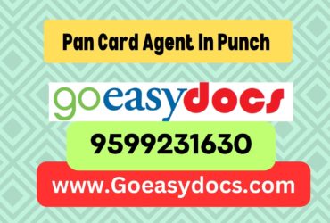 Pan Card Agent Consultant in Punch  8851415812