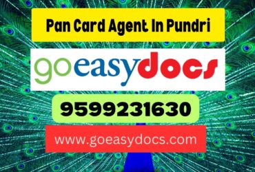 Pan Card Agent Consultant in Pundri 8851415812