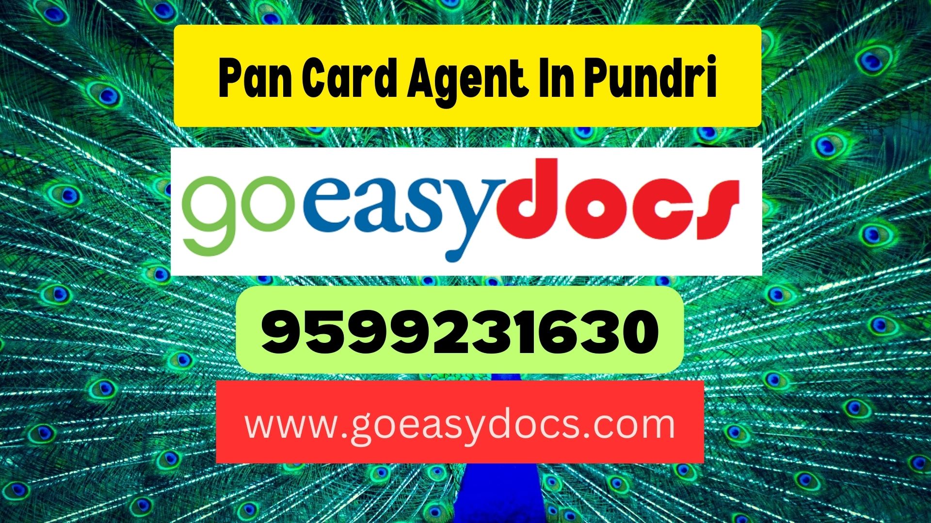 Pan Card Agent Consultant in Pundri 8851415812