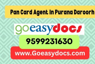 Pan Card Agent Consultant in Purana Daroorh 8851415812