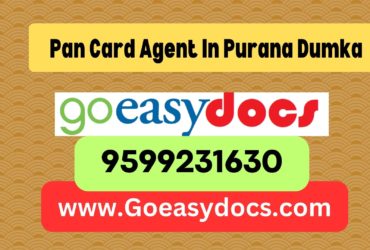 Pan Card Agent Consultant in Purana Dumka 8851415812