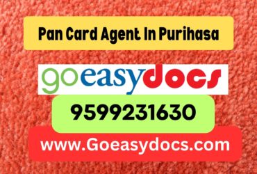 Pan Card Agent Consultant in Purihasa 8851415812